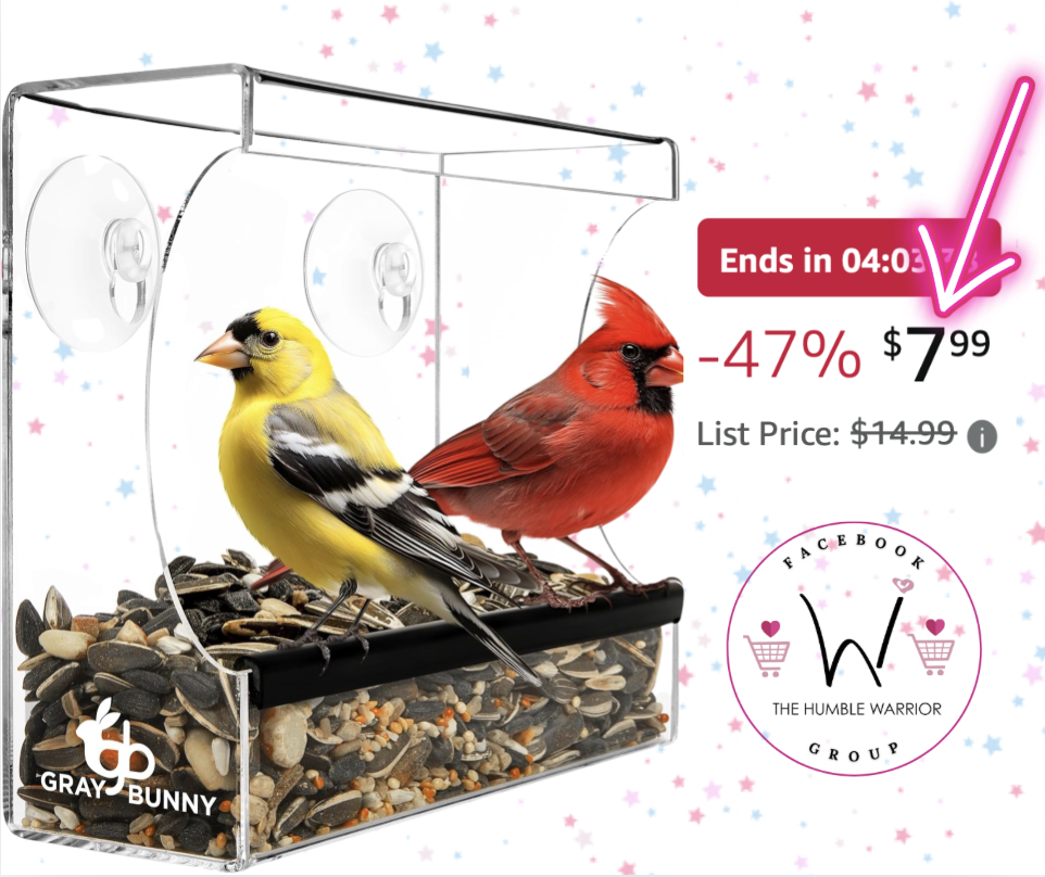 Window Bird Feeder!